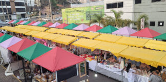 Casa de Cultura credencia artistas para Feira de Economia Popular Solidária