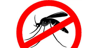 Mutirão de combate à dengue em São Gonçalo do Rio Abaixo