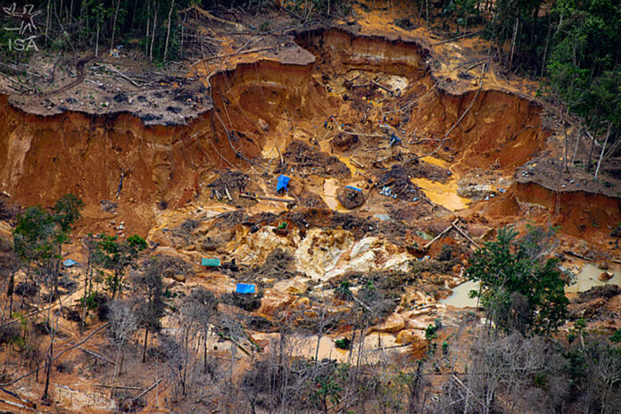 Internet de Elon Musk é vendida a garimpeiros da terra Yanomami por compradores de ouro ilegal