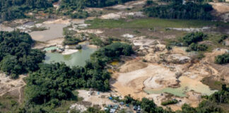 Garimpeiros começam a fugir da Terra Indígena Yanomami