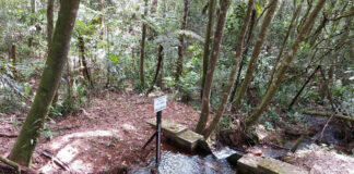 São Gonçalo comemora Dia Mundial da Água com seminário e visitas a nascente