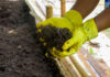 Prefeitura de Itabirito realiza primeira retirada de húmus de minhoca no viveiro municipal