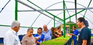 Novos projetos do viveiro municipal de Itabirito
