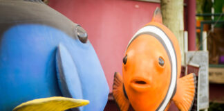 Fantástico Mundo Marinho: exposição reúne mais de 30 mil visitantes no Parque Ecológico