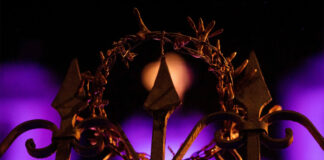 Museu Boulieu recebe a exposição da fotógrafa Ane Souz