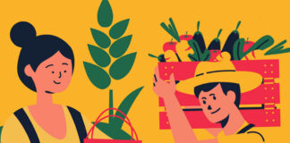 Pesquisadores da UFOP participam de e-book sobre agroecologia e alimentação escolar