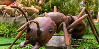 Natureza Gigante: Itabirito recebe exposição a partir deste sábado