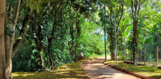 Programação promove a conscientização e preservação ambiental em Monlevad