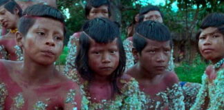 Filme ‘A Flor do Buriti’, que retrata resistência dos indígenas Krahô (TO), é premiado em Cannes