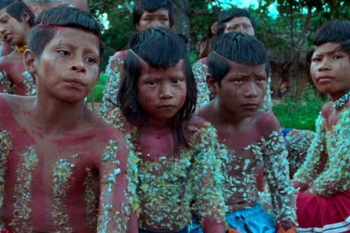 Filme ‘A Flor do Buriti’, que retrata resistência dos indígenas Krahô (TO), é premiado em Cannes