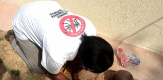 Com índice de infestação em 5,2%, Itabira tem alto risco de surto de dengue