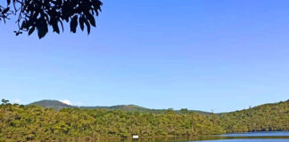 Equipe de pesquisadores analisam fauna e flora da Estação Ambiental Peti