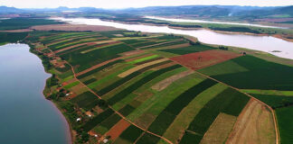 Em decisão histórica, justiça reconhece posse dos sem-terra no quilombo Campo Grande (MG)