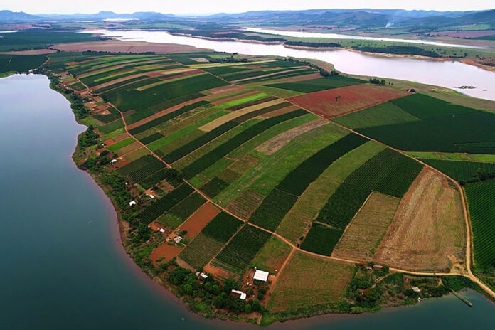 Em decisão histórica, justiça reconhece posse dos sem-terra no quilombo Campo Grande (MG)