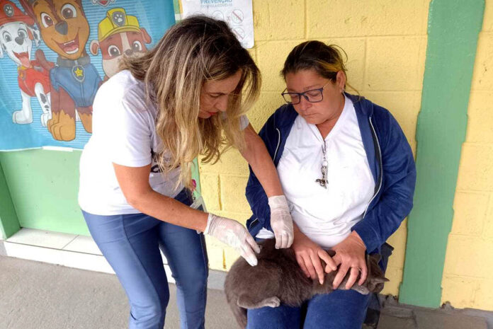 Campanha antirrábica animal vai até meados de setembro em Itabira