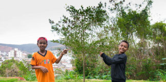 Semana da Árvore com vasta programação em Monlevade