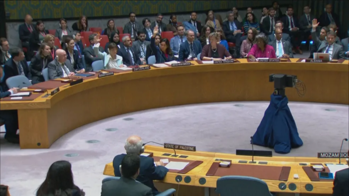 onu-conselho-repr png