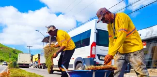 Revitalização de canteiros centrais da avenida Armando Fajardo em João Monlevade