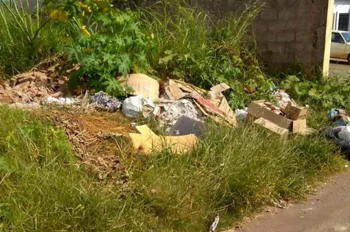 Prefeitura de Itabira notifica proprietários a manterem lotes limpos