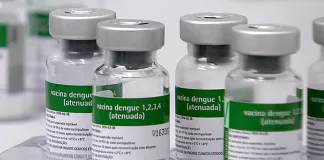 Primeiras doses da vacina contra dengue chegam ao Brasil