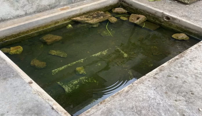 Distrito de Antônio Pereira é o principal foco de dengue em Ouro Preto