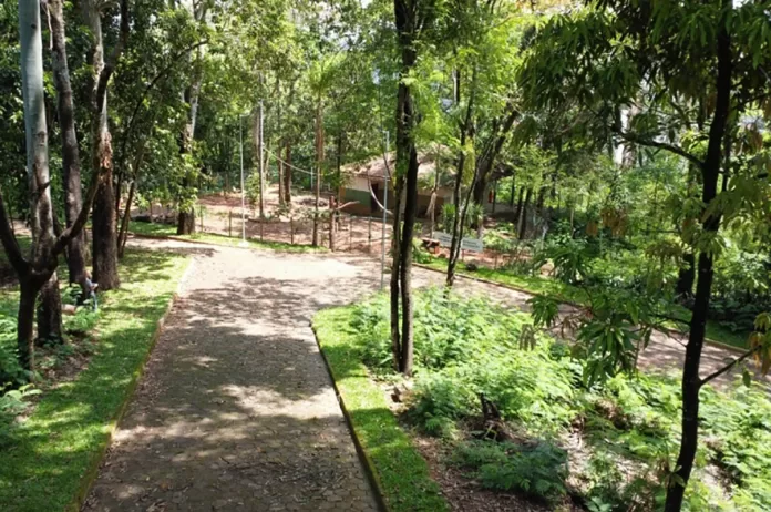 Secretaria Municipal de Meio Ambiente e Senar promovem cursos essenciais para manutenção rural