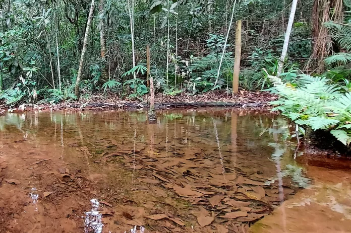 Dia da Água” em São Gonçalo do Rio Abaixo