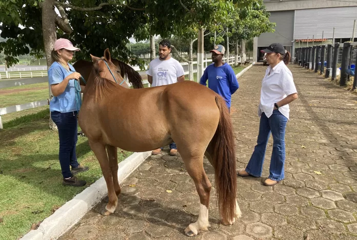 Equoterapia será ampliada em São Gonçalo