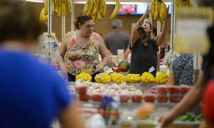 alimentos tania-rego png