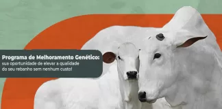 Programa de Melhoramento Genético visa melhorar a produção agropecuária de Mariana