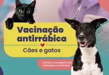 Campanha de Vacinação Antirrábica Animal nos Distritos de Mariana