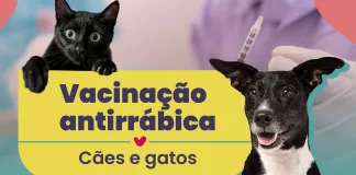 Campanha de Vacinação Antirrábica Animal nos Distritos de Mariana
