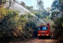 Reforço na prevenção e combate a incêndios florestais em Monlevade