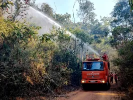 Reforço na prevenção e combate a incêndios florestais em Monlevade