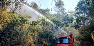 Reforço na prevenção e combate a incêndios florestais em Monlevade