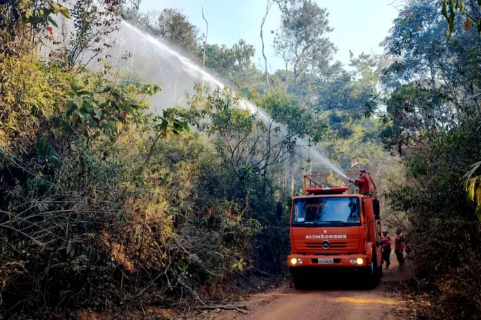 Reforço na prevenção e combate a incêndios florestais em Monlevade