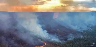 Brasil concentra 76% dos incêndios na América do Sul