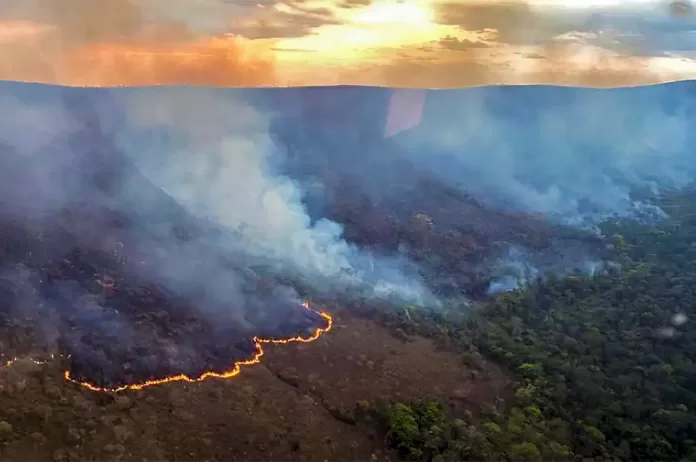 Brasil concentra 76% dos incêndios na América do Sul