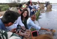 MST retoma o plantio de arroz agroecológico no RS após enchente