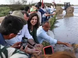 MST retoma o plantio de arroz agroecológico no RS após enchente