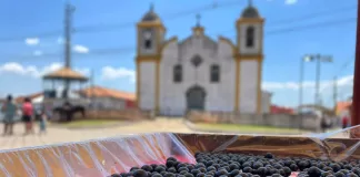 Festa da Jabuticaba de Cachoeira do Campo é sucesso de público, repleto de experiência em todos os sentidos