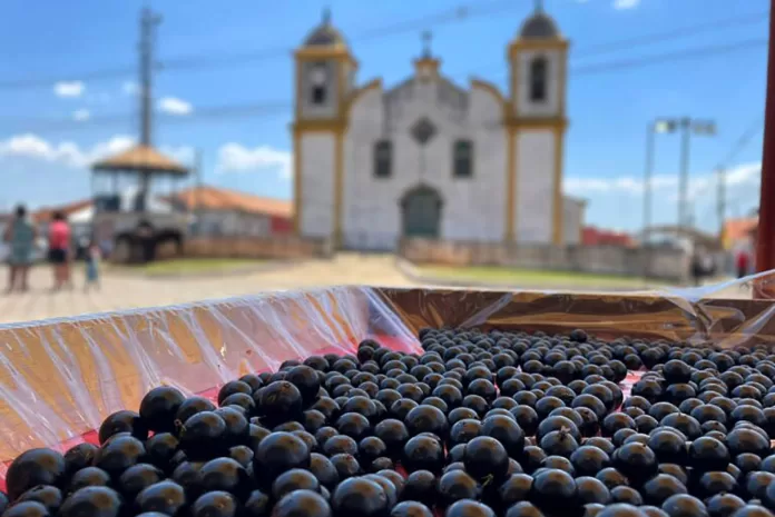 Festa da Jabuticaba de Cachoeira do Campo é sucesso de público, repleto de experiência em todos os sentidos