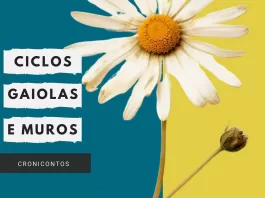 Giseli Barros lança livro na Casa de Cultura de Mariana