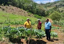 Ouro Preto registra avanço histórico no PNAE e projeta crescimento para 2025