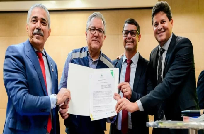 Ministerio da saude mariana bruna araujo
