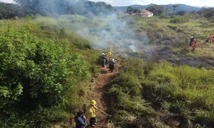 brigada floreostal s barbara