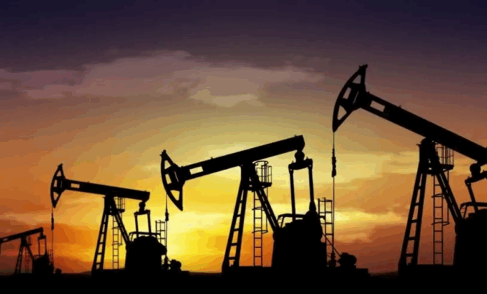 petrobras cavalo_petroleo_12bruna_justa