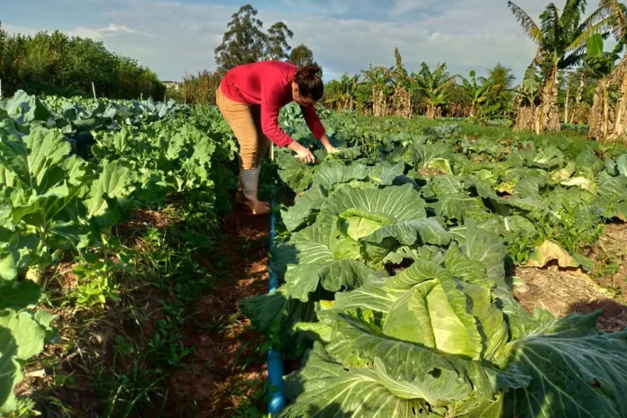 1ª Conferência Municipal de Desenvolvimento Rural Sustentável e Solidário