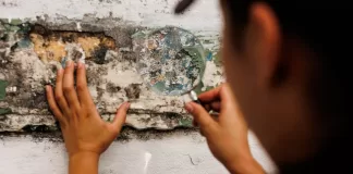 Aula aberta e exibição de documentário no "Sextas Abertas"