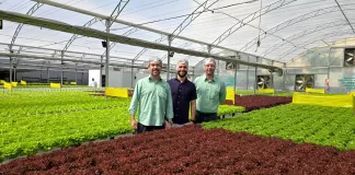 Área minerada transformada em polo de produção de hortaliças em Nova Lima